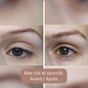 Avis