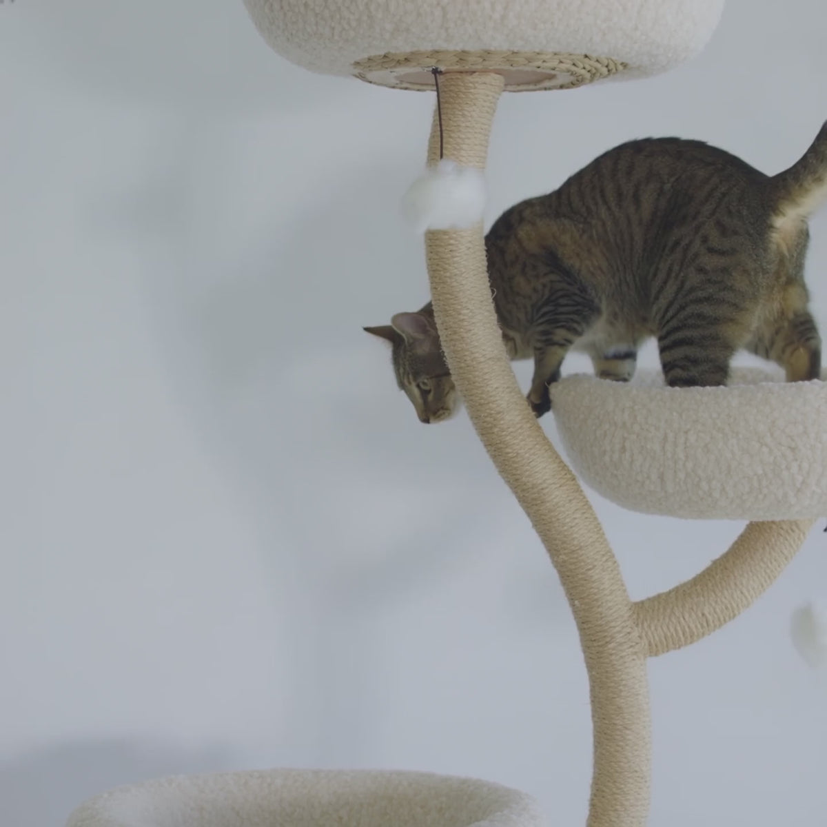 Arbre à chat en bois - Luma